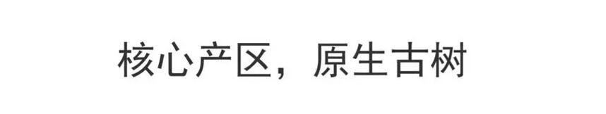 2020年小户赛早春古树茶 花蜜香浓、甘甜顺滑。