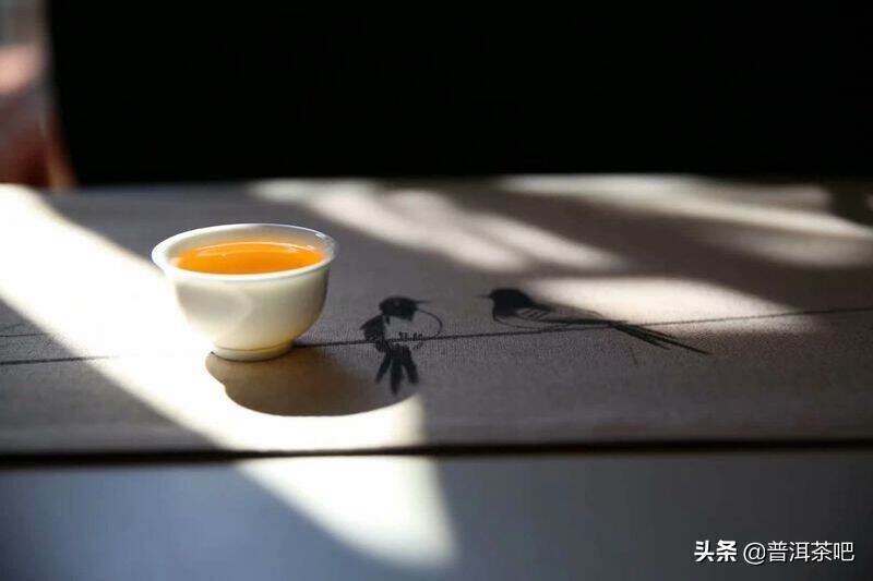 “茶无上品，适口为珍”，有多少人被这句话忽悠了