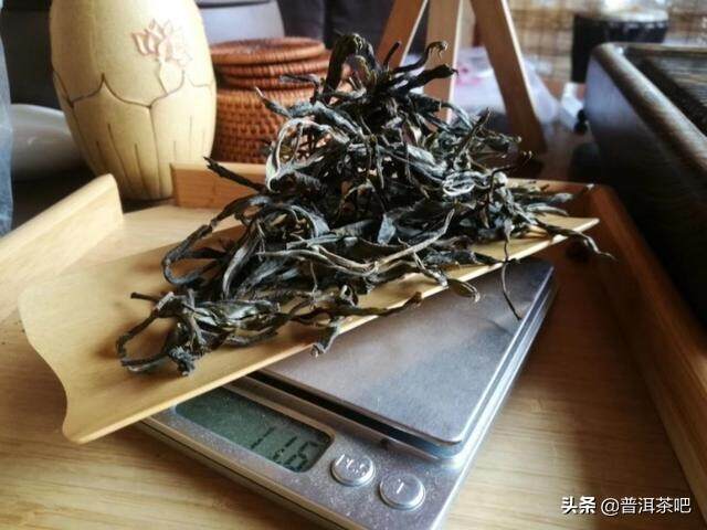 泡普洱茶需要用“克数秤”吗？