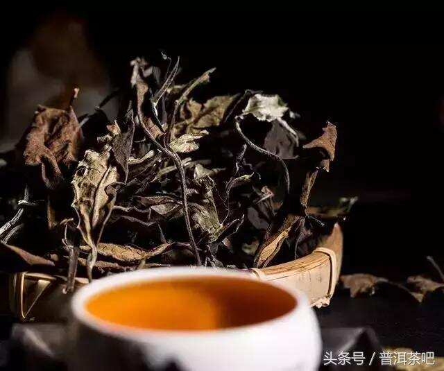 我的收藏普洱茶心得