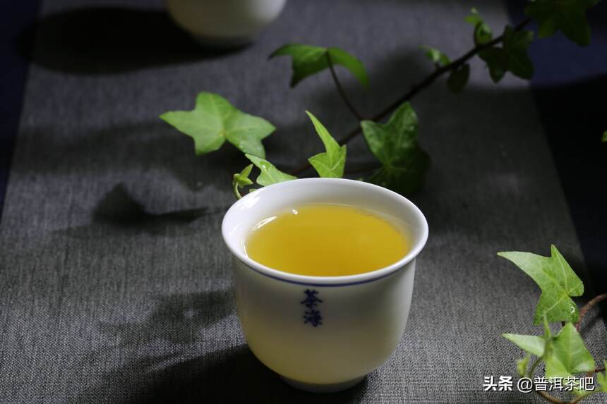 普洱茶，为何让人对你爱不释手？