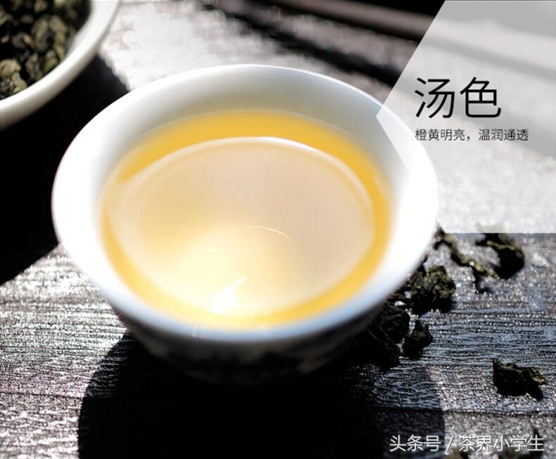 中国十大名茶（6）——安溪铁观音（产自福建安溪，乌龙茶类）