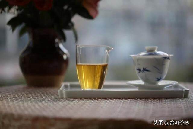 「干货分享」根据叶片就能分辨古树茶和台地茶吗？