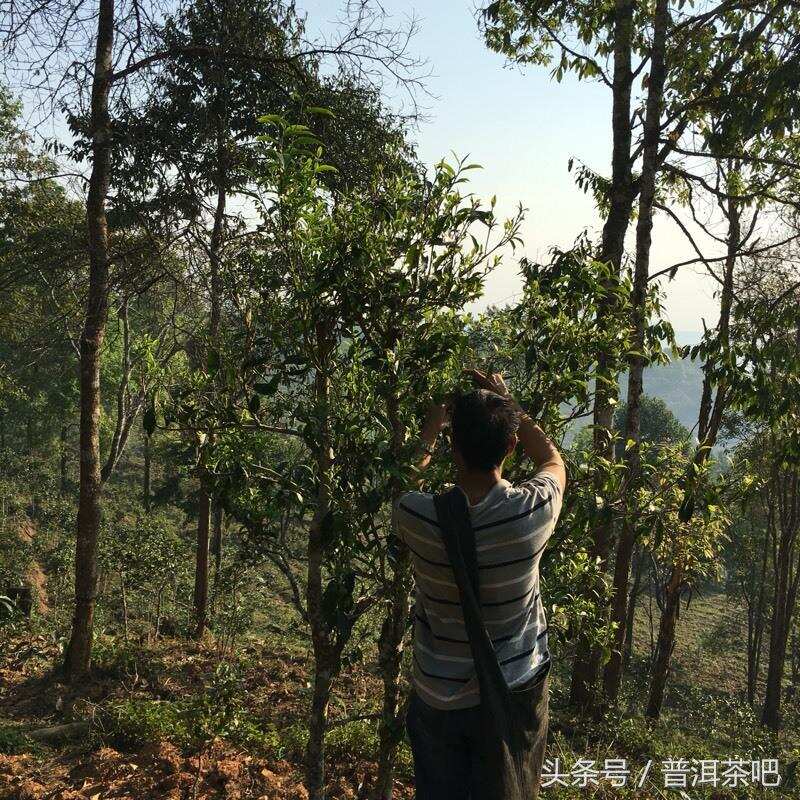 心里有座革登山