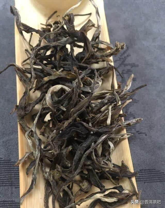 关于普洱茶的标准和新毛茶的合法性