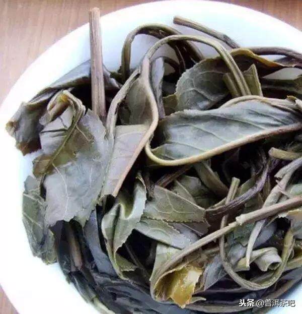 30种常见的普洱茶叶底