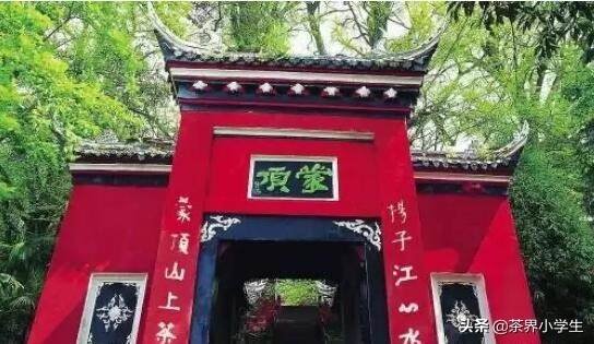 雅安市名山区茶办主任谈“植茶始祖”：吴理真实至名归，当之无愧