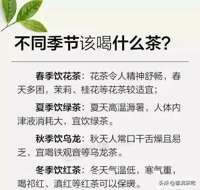 【入门干货】不懂茶，可以看图识茶