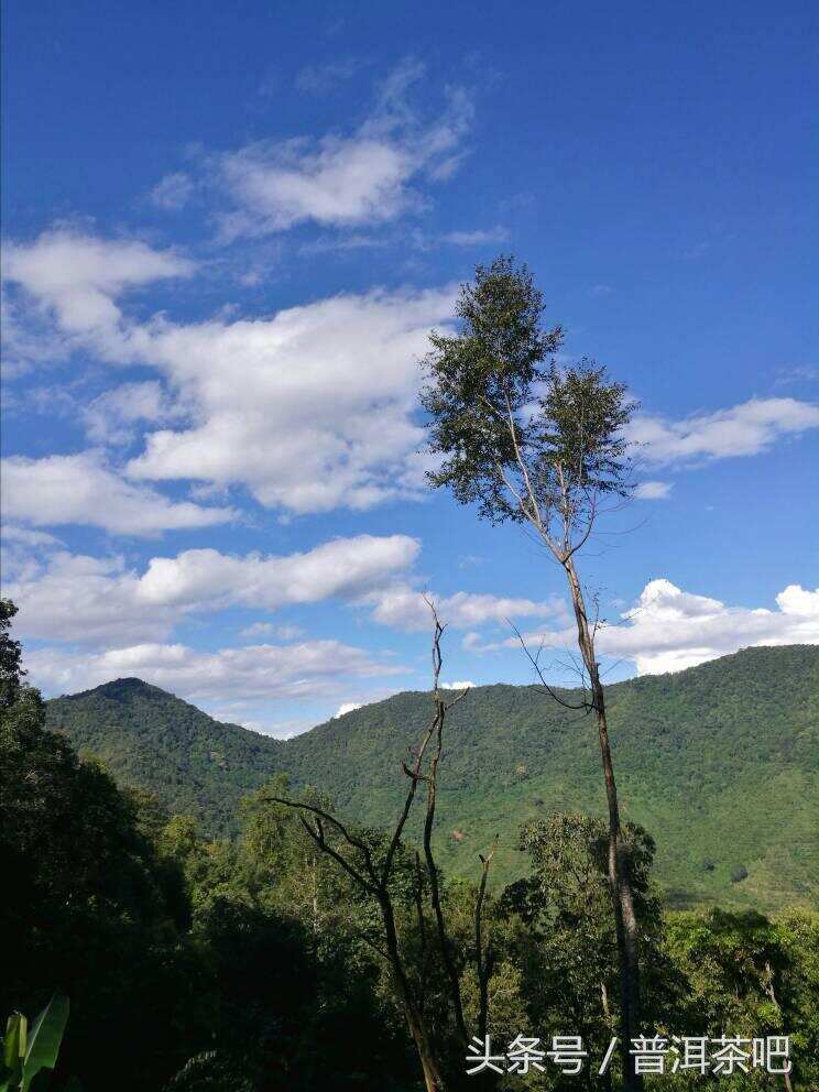 如果寻茶只是一场旅行：2017秋季普洱茶山岁月