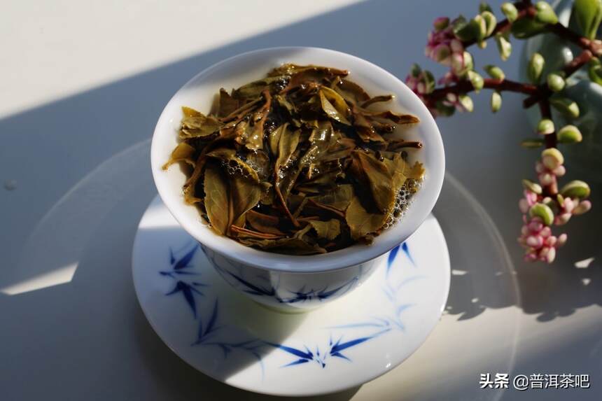 带“苦”“涩”感的茶，到底好不好？