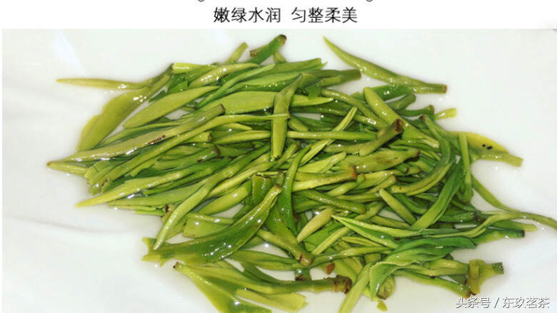 茶中珍品36——恩施玉露（非遗名优绿茶，传承唐朝蒸汽杀青工艺）