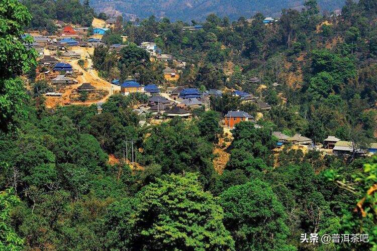 云南普洱茶产地最古老的三座茶山介绍