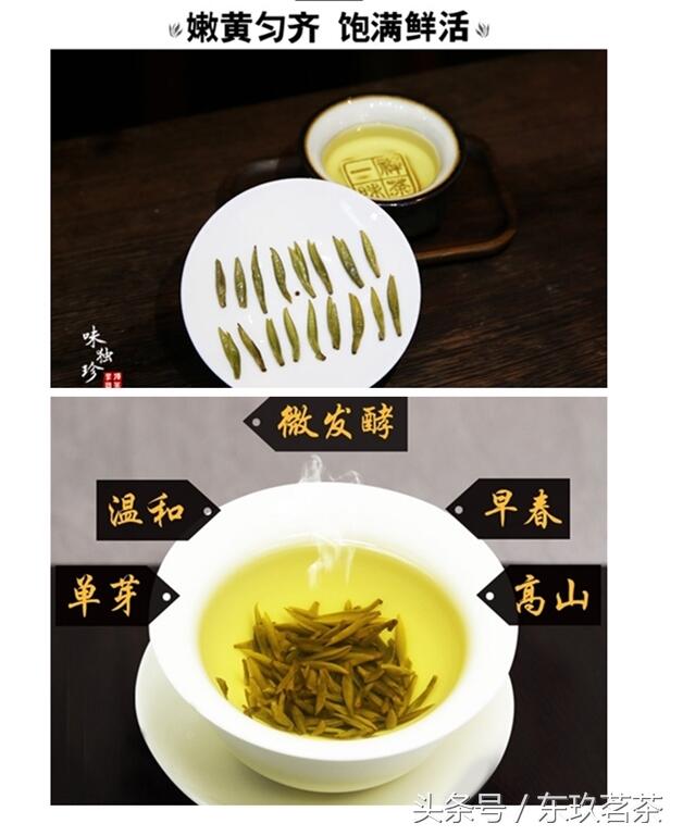 六大茶类——常见名优黄茶