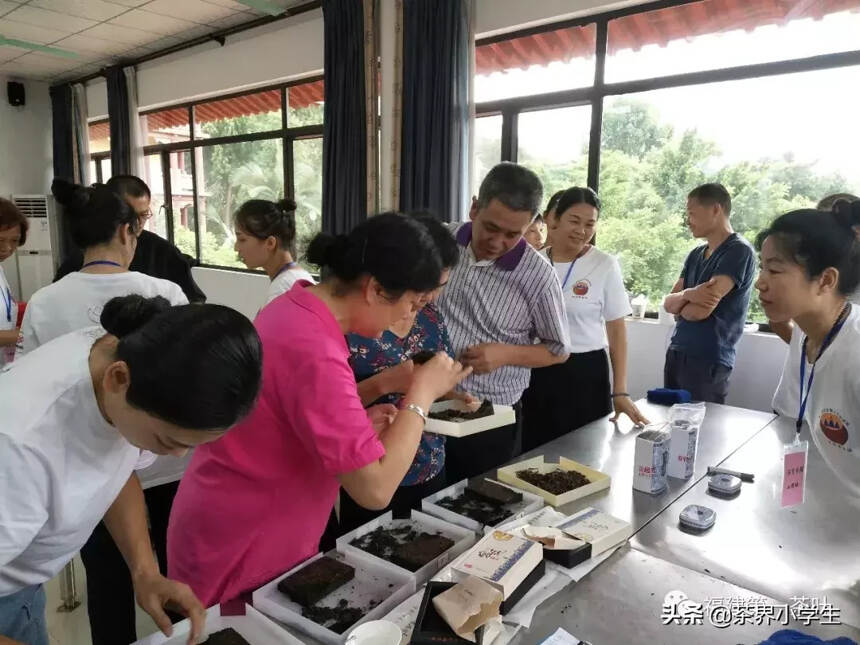 9月，第八届海峡两岸茶文化季暨两岸秋茶茶王擂台赛将启动