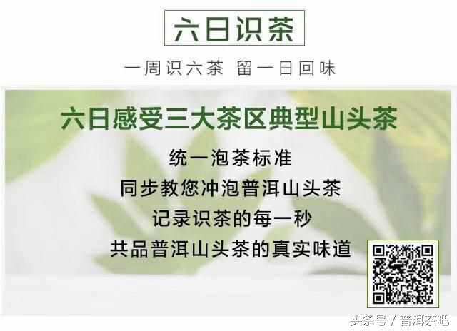 「刀哥说茶」面对普洱茶的六大吐槽，凭什么买你家的？