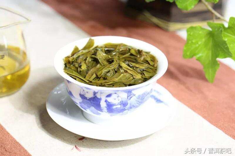 倚邦古树茶及其涩底茶冲泡