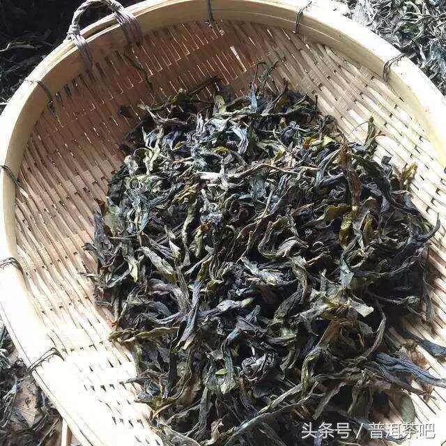 春秋茶之辨