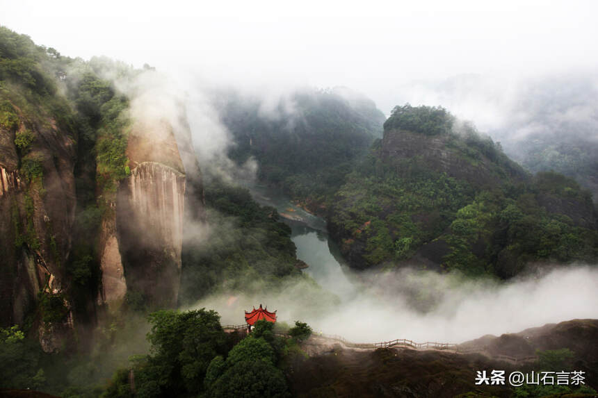 为什么说“高山云雾”出好茶？（一）