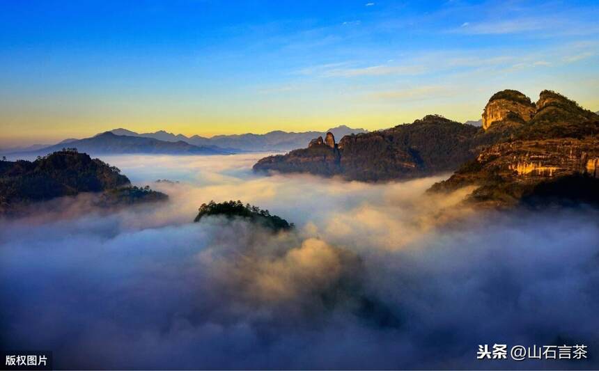 茶事 | 普通茶友如何在武夷山淘到顶级岩茶？