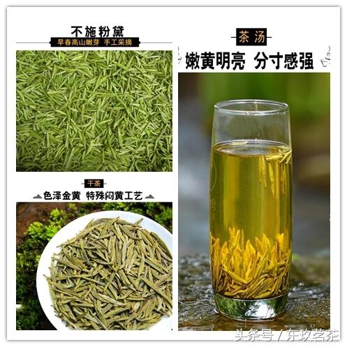 六大茶类——常见名优黄茶