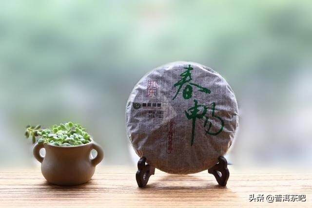 「干货分享」云南普洱茶的三大茶区简介