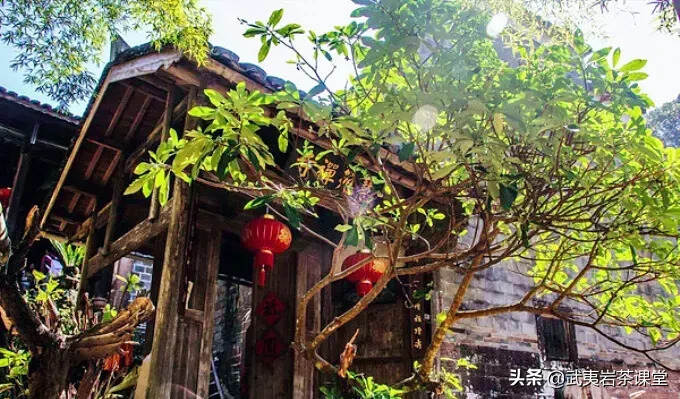 你想许个什么样的愿望—武夷山古刹庵堂大盘点