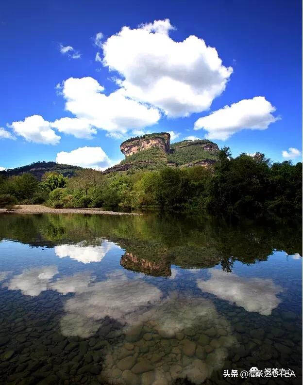 福建之茶 | 大红袍差点遭遇灭顶之灾，幸亏有了这两次改名