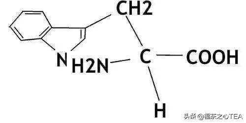茶百科 | 茶为什么会回甘，科学原理是这样的