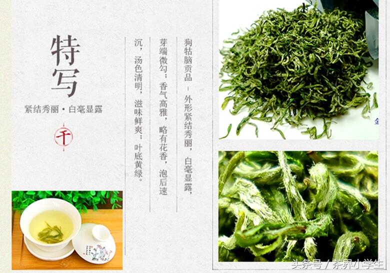 绿茶产地（4）——江西名优绿茶