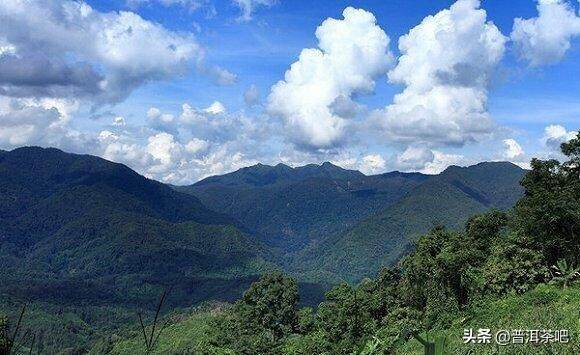 细数普洱茶山场，“一王二后”最顶级