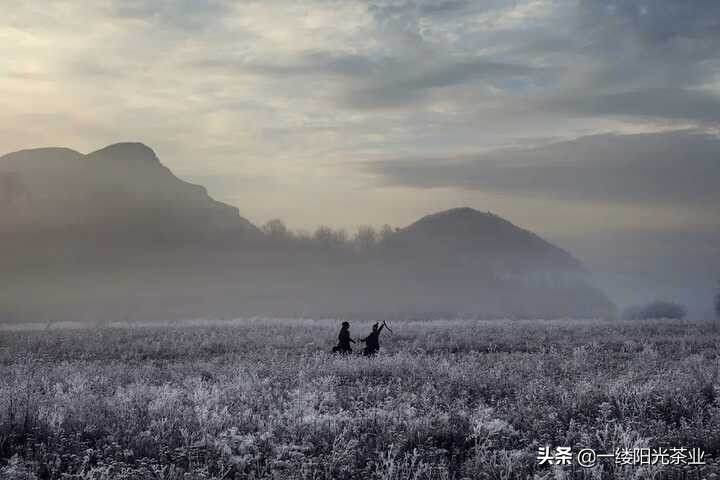 快速提升审美品位的9部好片子，强烈推荐