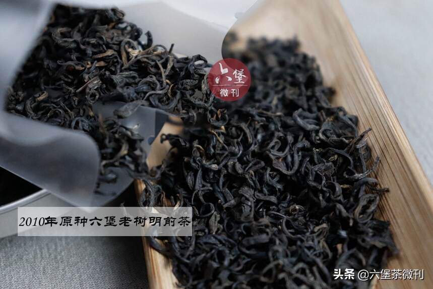 一篇文章告诉你广西六堡茶：社前茶、明前茶、秋茶、冬茶的区别