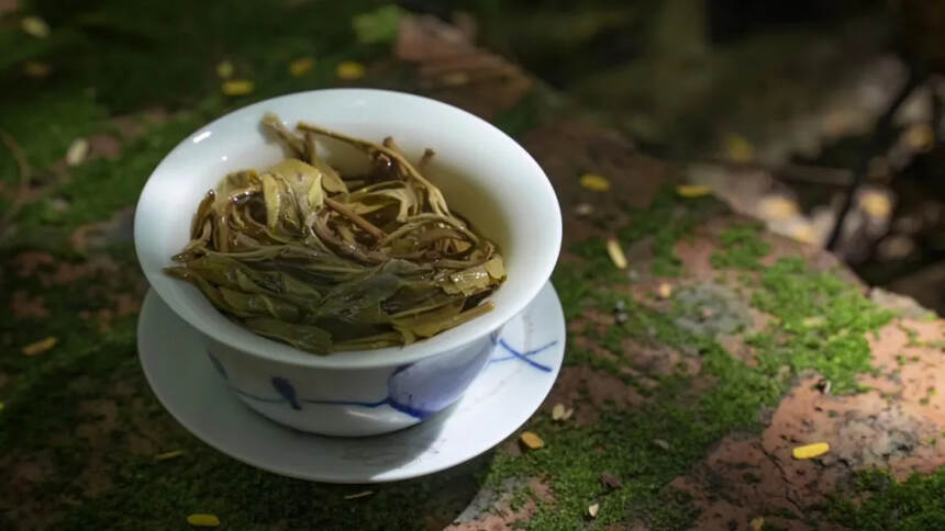 一部《红楼梦》，满纸茶叶香