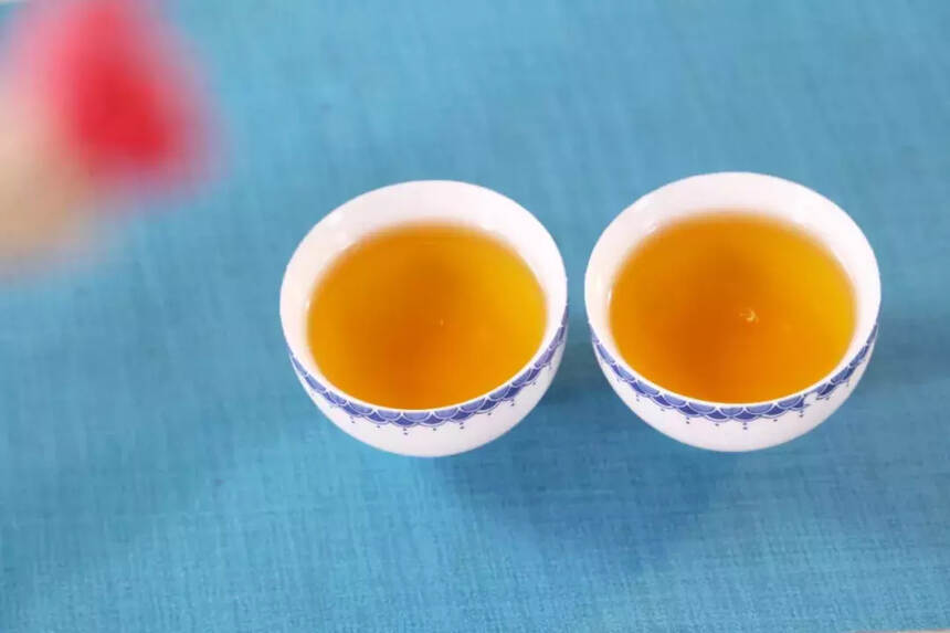 白茶文化｜饮一杯茶，得一方水土润养