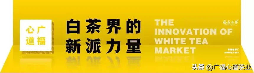 见证！福鼎茶企双月分析会第七次会议于广福茶业顺利召开