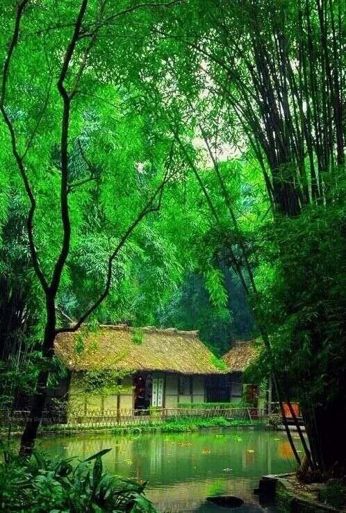 茶空间风水布局