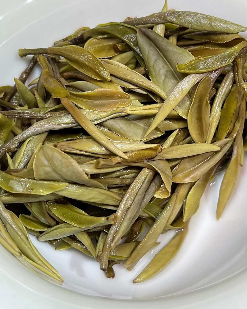 早茶，你喝什么茶？