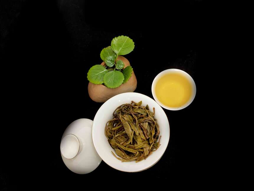 郑莲英说茶：黄茶小知识