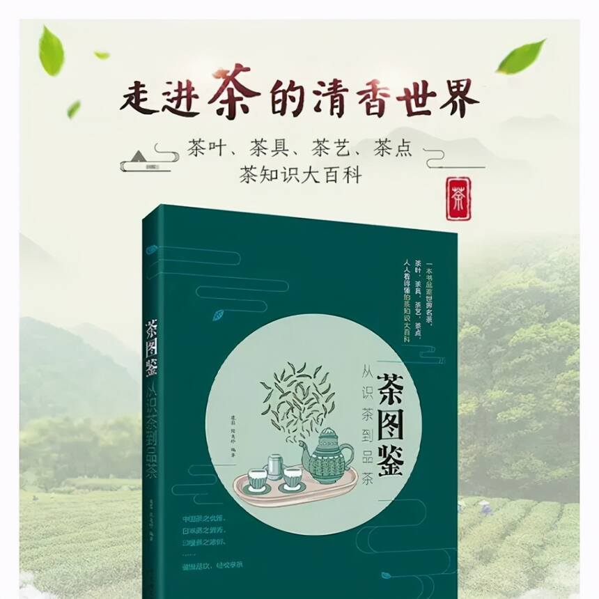 茶图鉴：从识茶到品茶#茶书top100#