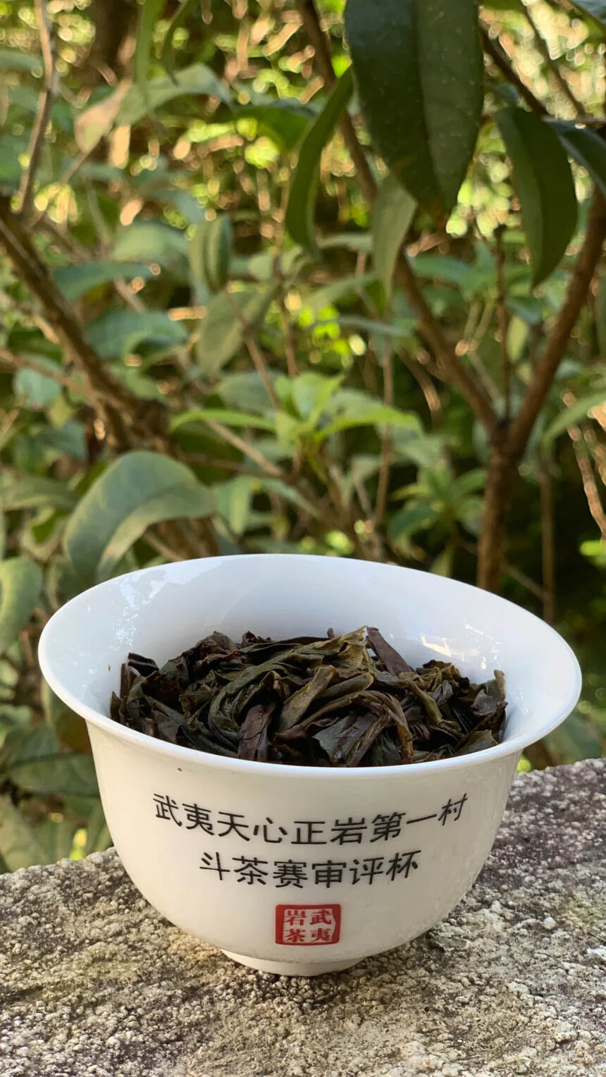 《茶，一片树叶的故事》第②集 经典摘撷