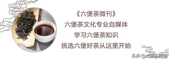 六堡茶制作工艺里的“堆闷”、“焗堆”、“渥堆”，你分清了吗？