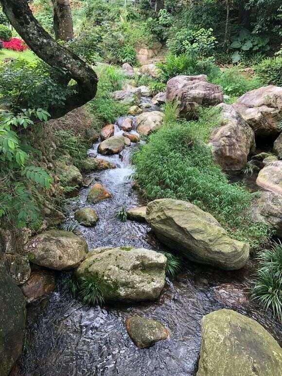 择一隅清幽，喝茶赏蒲