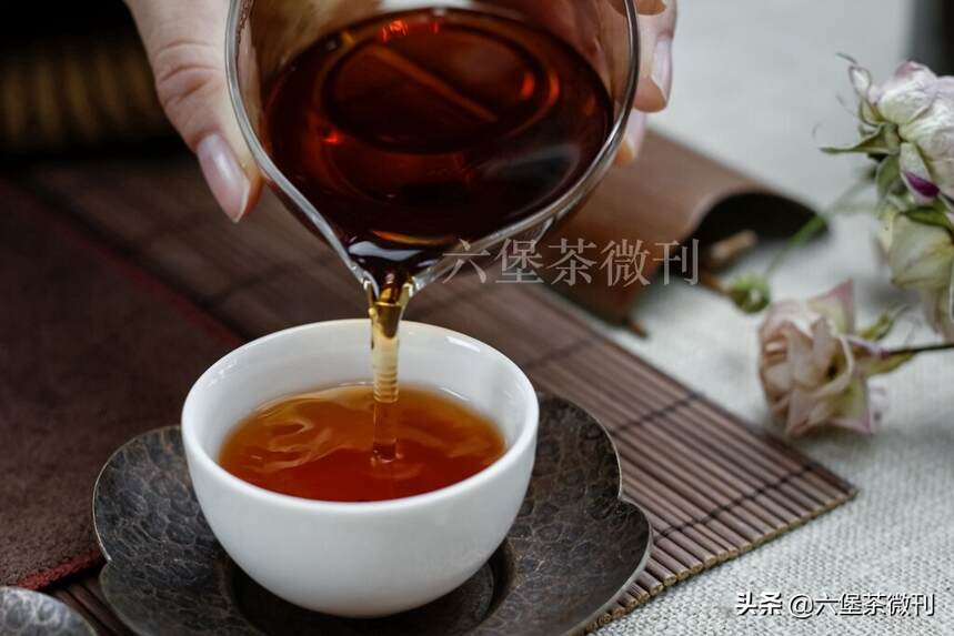 上新：90年代木香六堡茶，一起品尝岁月的滋味