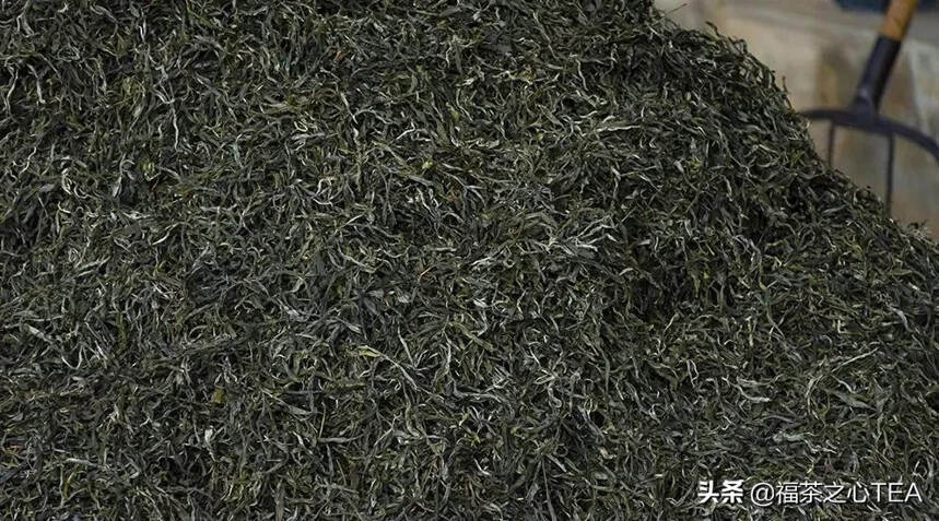 普洱茶两大危机无药可解！2021年，普洱茶会崩盘吗？