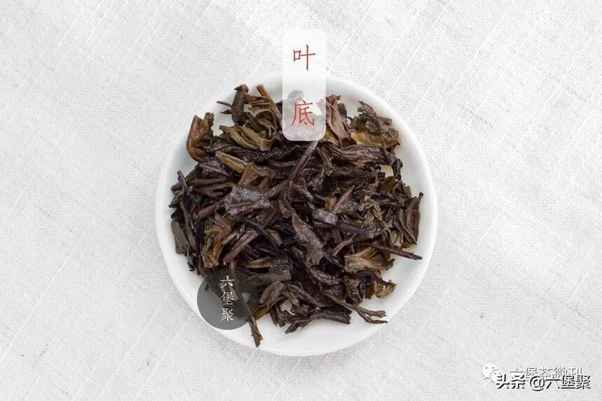 「派茶」一款野韵十足的高山槟榔香六堡茶，先喝为快！