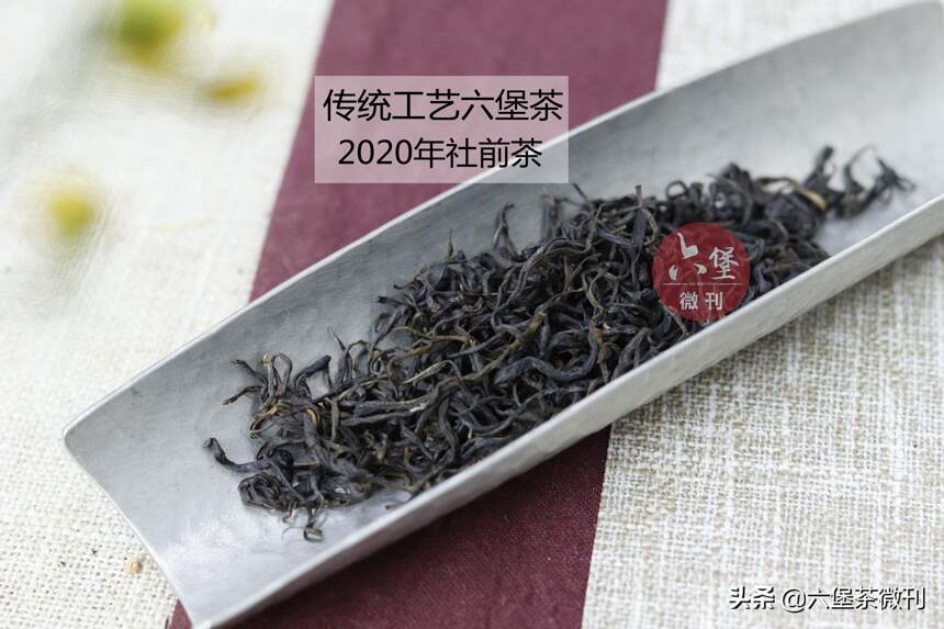 「干货」六堡茶怎么泡更好喝？原来“看茶泡茶”这么重要！