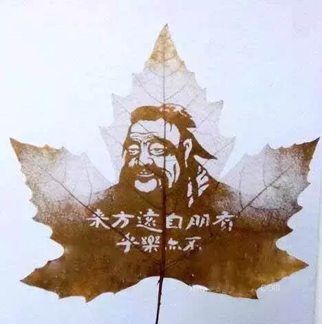 太美了，一叶一菩提，你绝对第一次见