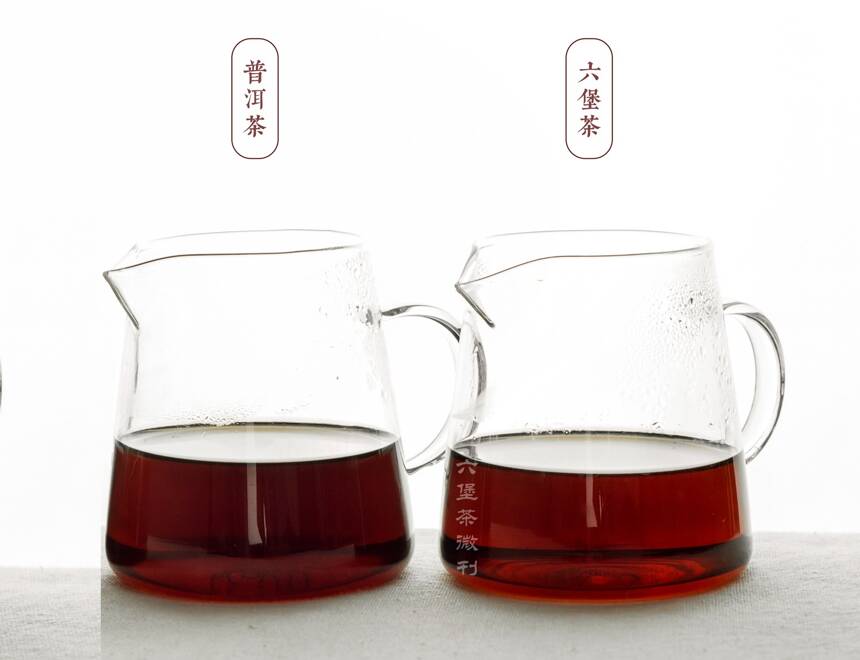 广西六堡茶与云南普洱茶熟茶有什么区别？