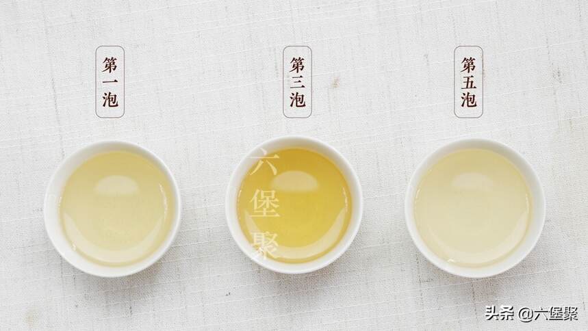 「好茶」特色六堡茶：不同年份的农家老茶婆滋味究竟有何特色？