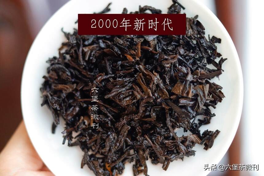 六堡老茶评测：三鹤“新时代”& 中茶“金中茶”